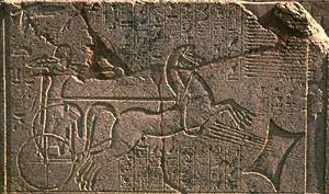 Amenophis II