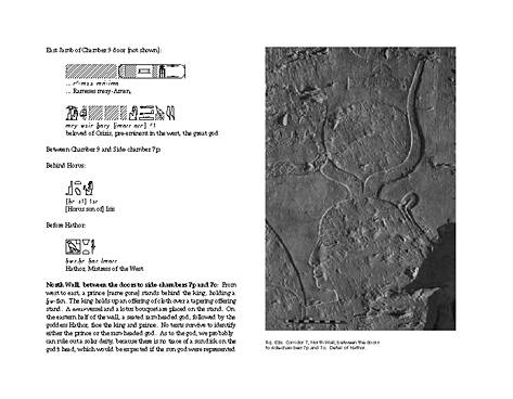 Vorl�ufiger Bericht