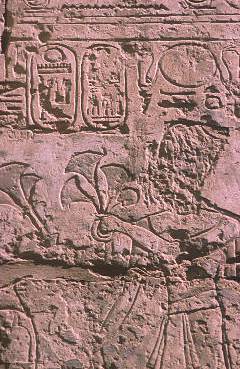 Ramses XI